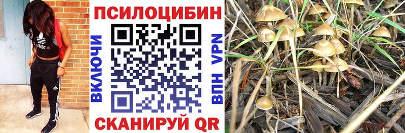 купить наркотик  hydra ССЫЛКА  Псилоцибиновые грибы мицелий  Усть-Лабинск 